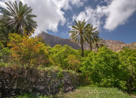 jebel akhdar wakan village